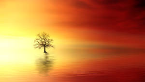 Tree Painting With Orange And Yellow Sunset Wallpaper