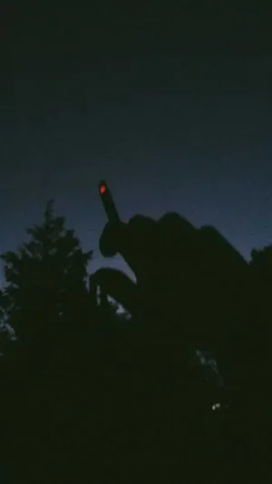 Tree Silhouette Aesthetic Grunge Iphone Wallpaper