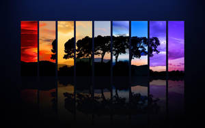 Tree Silhouette Coolest Desktop Wallpaper