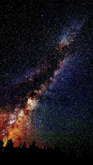 Tree Silhouettes Against The Universe Iphone Wallpaper