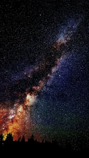 Tree Silhouettes Against The Universe Iphone Wallpaper