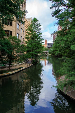 Trees Along San Antonio River Walk Wallpaper