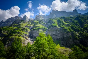 Trees And Rock Landscape Wallpaper