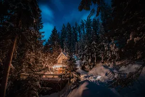 Trees Blanketed In Snow On A Festive Winter's Eve Wallpaper