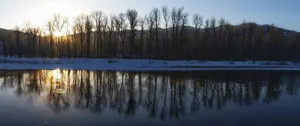 Trees In Winter Wallpaper