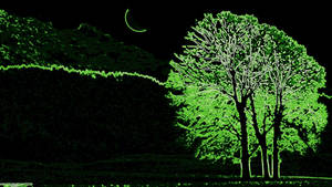 Trees Neon Green Aesthetic Wallpaper
