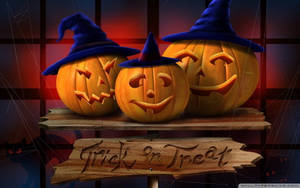 Trick Or Treat Pumpkins Witch Hats Wallpaper