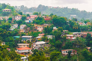 Trinidad And Tobago Morvant Houses Wallpaper