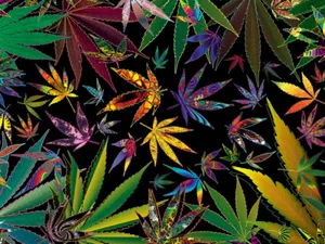 Trippy Stoner Leaf Art Wallpaper