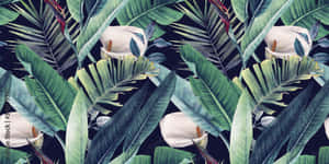 Tropical Aesthetic Palm Leaves Wallpaper