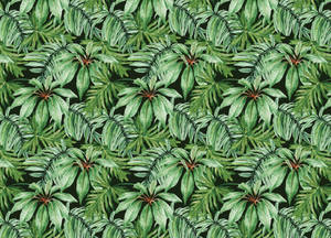 Tropical Banana Leaf Wallpaper Wallpaper