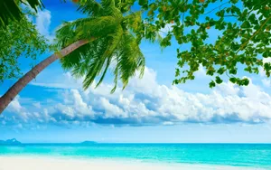 tropical beach hut wallpaper