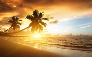 Tropical Beach Beautiful Sunset Wallpaper