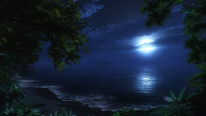 Tropical Beach Front At Night Wallpaper