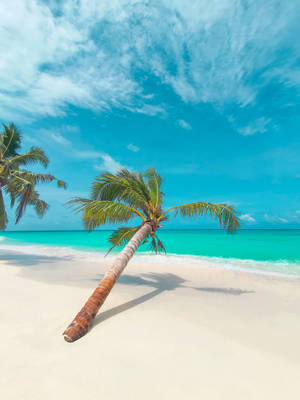 100 Free Tropical Beach HD Wallpapers & Backgrounds - MrWallpaper.com