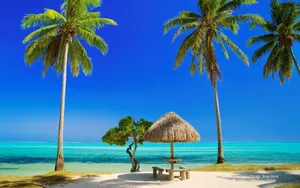 Tropical Beach Hut Palm Trees Wallpaper