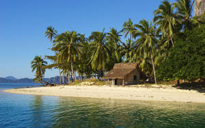 Tropical Beach In The Philippines Wallpaper