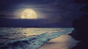 Tropical Beach Night Vibe Wallpaper