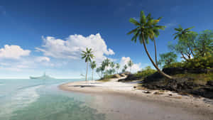 Tropical Beach Paradise Wallpaper