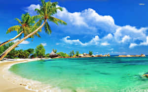 Tropical Beach Scene Clear Waters Wallpaper