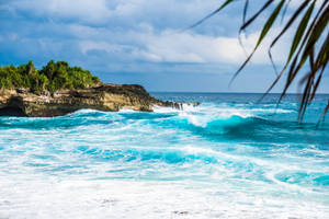 100 Free Tropical Beach HD Wallpapers & Backgrounds - MrWallpaper.com