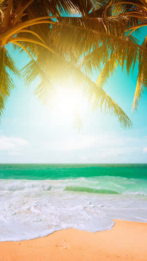 Tropical Beach Sunshine Palm Wallpaper