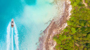 Tropical_ Coastline_ Aerial_ View_4 K_ U H D Wallpaper