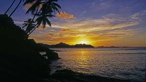 Tropical Daylight Sunset Wallpaper