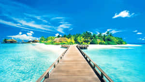 Tropical Island Bridge Wallpaper