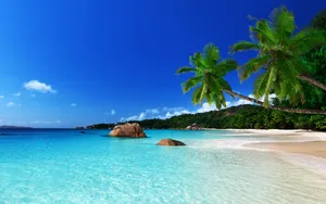 Tropical Island Rocks Wallpaper