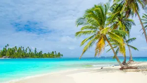 Tropical Island Vibes Wallpaper