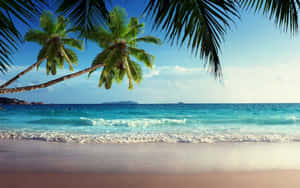 Tropical Island Waves Wallpaper