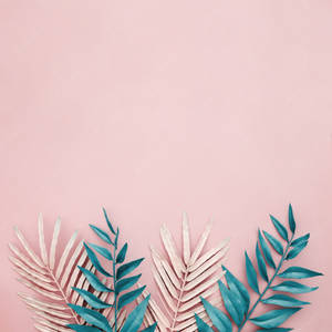 Tropical Leaves On Pastel Pink Background Wallpaper