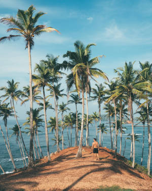 Tropical Man And Sea Background Wallpaper