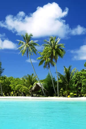 Tropical Paradise Beach Wallpaper
