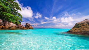 Tropical Paradise Beach Wallpaper