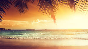 Tropical Seashore In Sunset Wallpaper