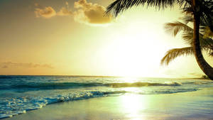 Tropical Sunset Beach Summer Vibes Wallpaper