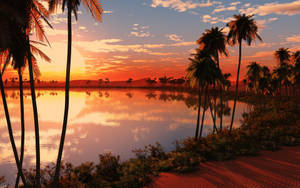 Tropical Sunset Lake Paradise Wallpaper