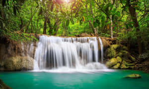 Tropical Waterfall Serenity.jpg Wallpaper