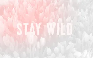 Tulip Flowers Pastel Pink Aesthetic Computer Wallpaper