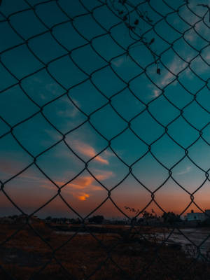 Tumblr Fence In Sunset Wallpaper