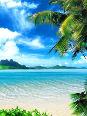 Tumblr Ipad Tropical Beach Photography Wallpaper