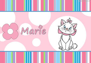 Turkish Angora Marie Cat Wallpaper