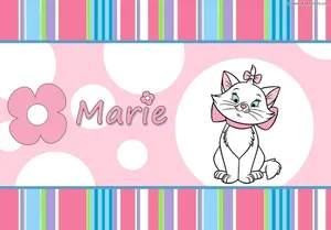 Turkish Angora Marie Cat Wallpaper