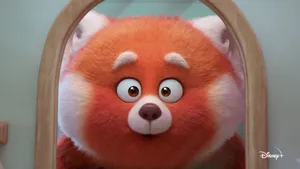Turning Red Panda In The Mirror Wallpaper