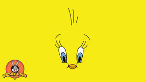Tweety Bird Face Features Background Wallpaper