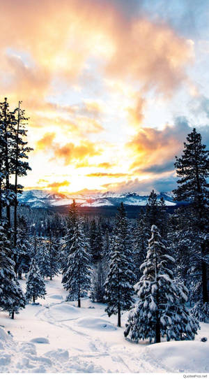 Twilight On The Snowy Field Beautiful Phone Wallpaper