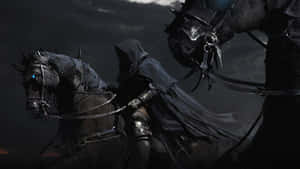 Two Black Horses With Cloaks On Them Wallpaper