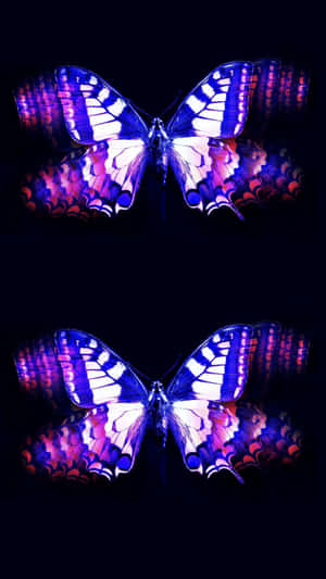 Two Cute Purple Butterfly Wallpaper